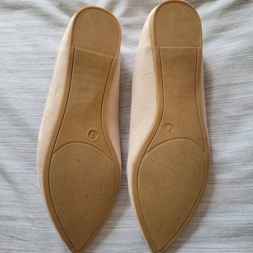 Lulus flata - Picture 2 of 3
